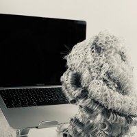 Collette Price (@cp_familylawyer) 's Twitter Profile Photo Collette Price (@cp_familylawyer) 's Twitter Profile Photo