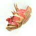 ふるおろ (@fluoro_origami) Twitter profile photo ふるおろ (@fluoro_origami) Twitter profile photo