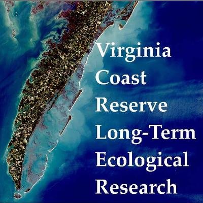 Virginia Coast Reserve LTER