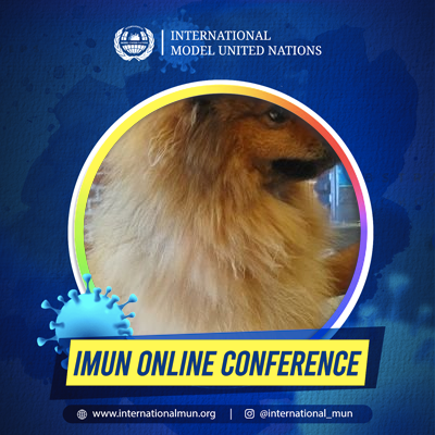 dede_mahotama's profile picture. 