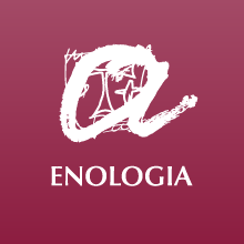 enologiaURV Profile Picture