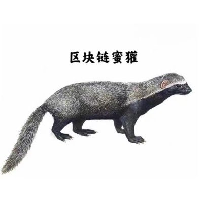 币圈7年亏钱老韭菜|Weibo:Crypto蜜獾Pro|WeChat:Qklmh-888|现就职@HTX_global |大客户/量化/API/KOL/带单社区/返佣业务合作