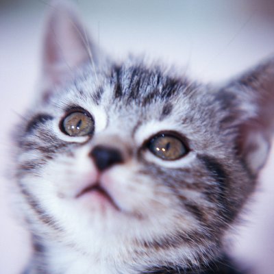 sologg12's profile picture. 