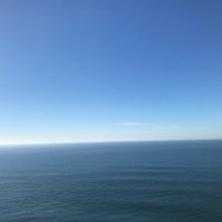 tototo (@to3takehk) 's Twitter Profile