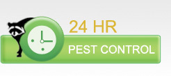 I'm a professional exterminator in Toronto.Call us and we'll take care of the problem. 416-628-4803
Mention twitter for 10% off