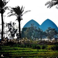 Ammar Alfahad (@ammaralfahad1) 's Twitter Profile