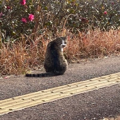 卓球歴8年/魚釣りも大好き/今年は看護の専門学生として3年間頑張ります