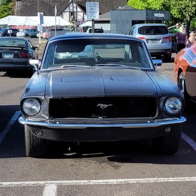 BonsonIsland's profile picture. 