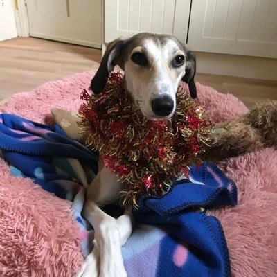 AriyaniTiti's profile picture. 