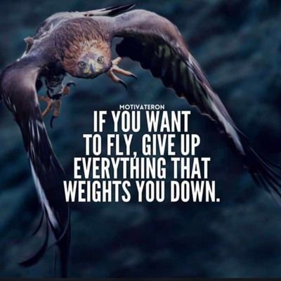 SASVAS4's profile picture. 