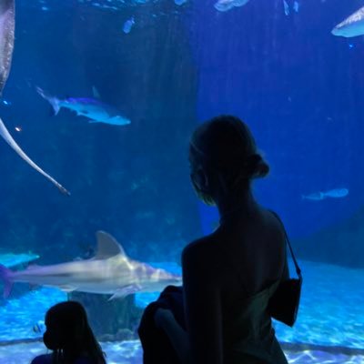 BHarden21's profile picture. 