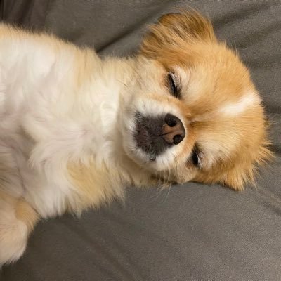 aryuuu1126's profile picture. 