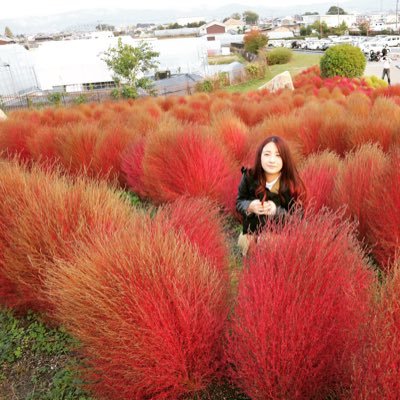木村美月です この前ナガスパやって 次は富士急 その後ディズニー その後ユニバ 9月はテーマパーク制覇や とりあえず 年パス分割しよかな ホラーナイト行きたいし んで10月でもその後でもいいからバンジージャンプしたい 木村美月です この前ナガスパやって 次は富士急 その後ディズニー その後ユニバ 9月はテーマパーク制覇や とりあえず 年パス分割しよかな ホラーナイト行きたいし んで10月でもその後でもいいからバンジージャンプしたい