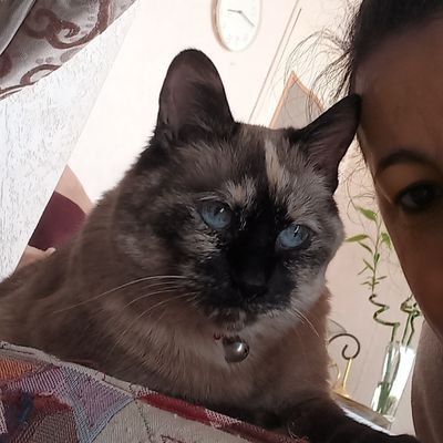 farida_64000's profile picture. 