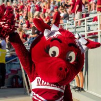 Sue E. (@suee_ua) 's Twitter Profile Photo Sue E. (@suee_ua) 's Twitter Profile Photo