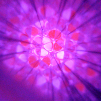 m_haruka's profile picture. 