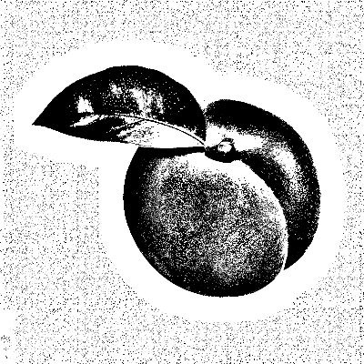 ApricoleDev's profile picture. 