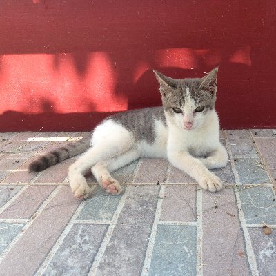 AChanon26's profile picture. move forward