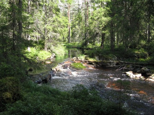 outdoorzweden's profile picture. Discovering real outdoor in Sweden Enjoying life in the outdoors. Fun, nature, canoeing, 4x4, ATV, hiking & camping.