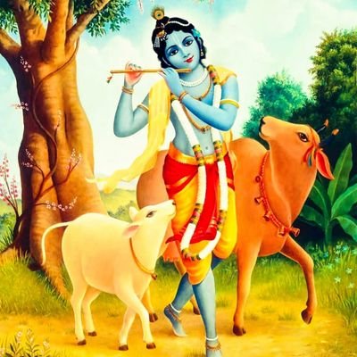 GzbLive's profile picture. Fight against System and corruption 😊