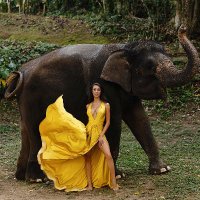 Mckenzie (@ervin_mckenzie5) 's Twitter Profile