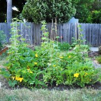 specschool (@specschool) 's Twitter Profile