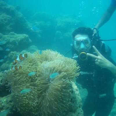 KarmaCoder23's profile picture. 