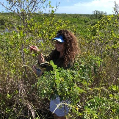 Conservation/Restoration Biologist #FloridaNativePlants #PlantEcologist #TropicalBotany #FIU #EvergladesRestoration #RarePlantSpecies Research #Botany