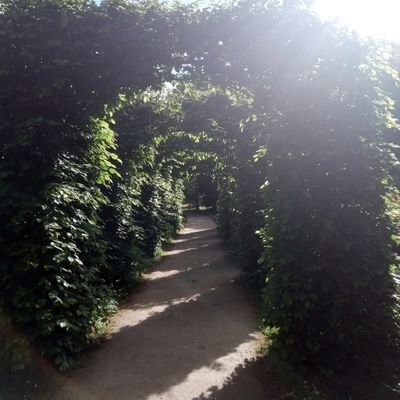 EcoloRueil's profile picture. Pour une ville de rueil malmaison écolo