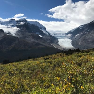 corybigl's profile picture. This is a twitter account.