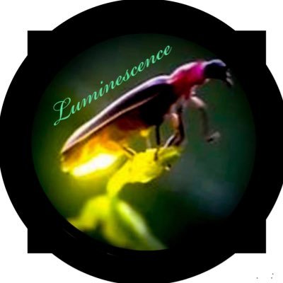 aachjugnoo's profile picture. 