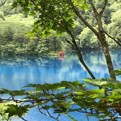 風鈴📚さんのプロフィール画像