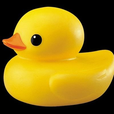 Transfem duck