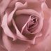 Toys-Trends (@toys_trends) Twitter profile photo Toys-Trends (@toys_trends) Twitter profile photo