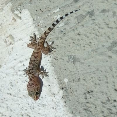 Uenassa's profile picture. Real Estate Solution,
Consultant&Appraisal,
Home Decor&Interior Design,
Architecture,
Futuristic Idea,
Life Style,