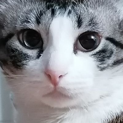 Em 🐱🐶さんのプロフィール画像