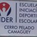 Eide Cerro Pelado CMG (@cmgeide) Twitter profile photo Eide Cerro Pelado CMG (@cmgeide) Twitter profile photo