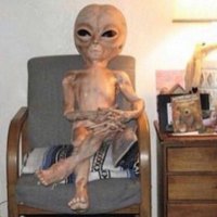 Comrade Esterabadî 🦊🇨🇺 (@seyranbaglari) Twitter profile photo