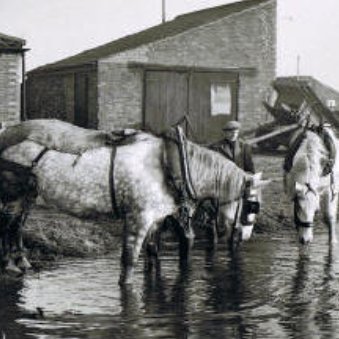 Mousehold Farm is a family owned and run arable farm. Originally over 250 acres the land area owned today is roughly half.