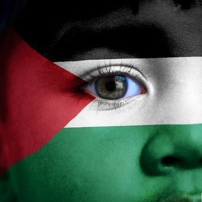 IlyasBouali's profile picture. #freepalestine