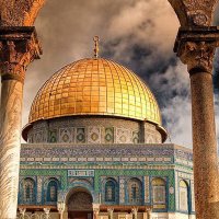 Nono's toys (@hadir87889829) Twitter profile photo