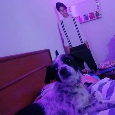 chikysdaily's profile picture. @Louis_Tomlinson mi bestie😘🤚🏻