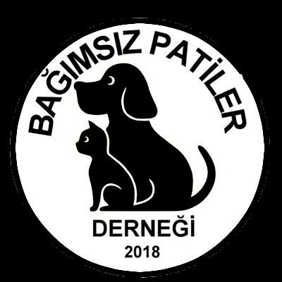 BagimsizPatiler Profile Picture