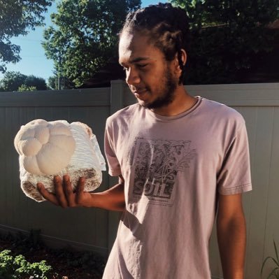 Wickr: psychguy12. Top Dealer for your Shrooms LSD Weed acid dmt World wild Delivery Snapchat: