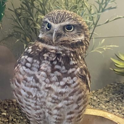 Crone975's profile picture. Reads things, writes things, hugs all trees