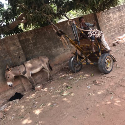 SunnyBoygambia's profile picture. Hello everyone I’m new here searching for good honest and everlasting friends because no one knows what tomorrow may bring