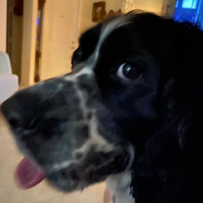 RLeefers's profile picture. Cellular Sales