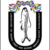 Rosa Uribe, PhD (@uribelabrice) 's Twitter Profile Photo Rosa Uribe, PhD (@uribelabrice) 's Twitter Profile Photo