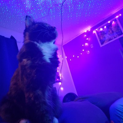 Twitch streamer. I like to cook, game, build, doodle and hang with my cats y'all 🤙 pansexual | nonbinary | they/she 👽 Kofi💙https://t.co/UbypR2eYf5