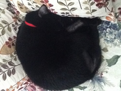 taknej's profile picture. 